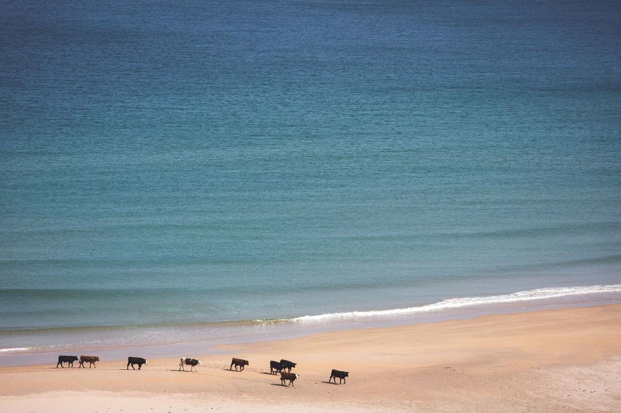 White Park Bay Youth Hostel Ballintoy Εξωτερικό φωτογραφία